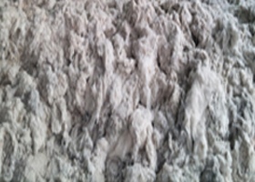 Bedding Cotton